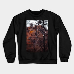 Drops or rain of an autumn day in the woods Crewneck Sweatshirt